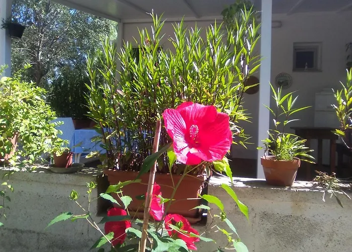 Casa Vacanza Fiorella